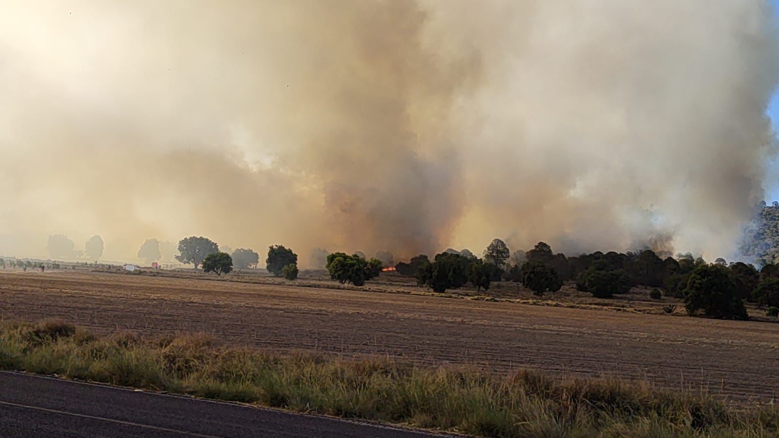 Corporaciones de emergencias atienden incendio en el cerro del Quimicho